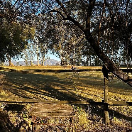 מלון פורייסבורג Rusplaas Guest Farm מראה חיצוני תמונה